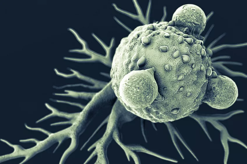 Illustration över hur immunförsvarets T-celler attackerar en cancercell.